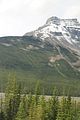 61 - Banff to Icefields - IMG_0955